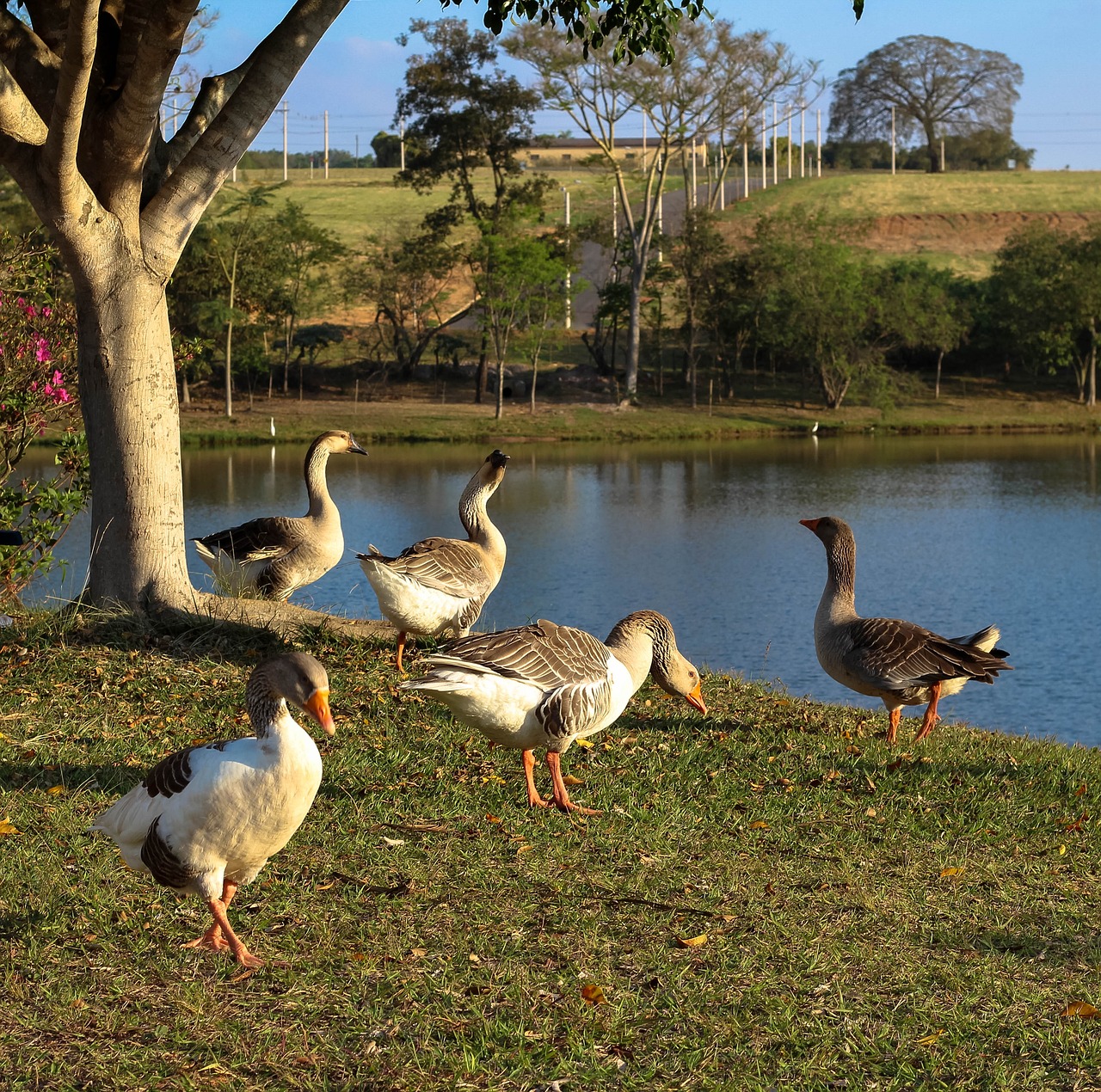 How to Encourage Your Community to Embrace Sustainability?